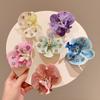 Butterfly Orchid Seaside Vacation Headwear Crystal Bohemia Barrettes  Photograph