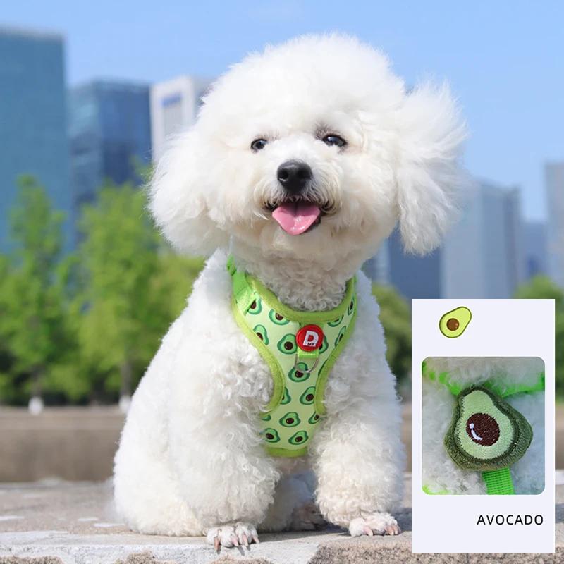 Cute Fruit Dog Cat Harness & Leash Set Adjustable Soft Puppy Kitten Walking Gear Breathable Summer Outdoor Accessories