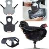 Sillas de Montar para Gallinas, Delantal Protector de Espalda para Gallinas con Correa Ajustable, Silla de Montar para Apareamiento de Gallinas