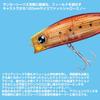 Daiwa Fat Shallow Minnow Morethan Solaria Strong LI Burning Gold Sardine 120F-LI