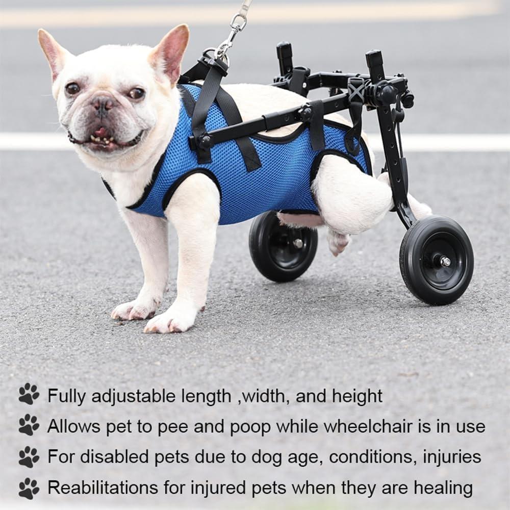 Hundewagen für Hinterbeine – Verstellbare Mobilitätshilfe für kleine Hunde, Hüftstütze & Beinschiene, Gehhilfe für behinderte Haustiere (XS/S/M)