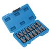 15Pcs Screw Extractor Set Hex Head Easy Out Cr Mo Damaged Broken Bolt Remover Tool Kit