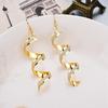 Women Frosted Spiral Pendant Dangle Earrings Fashionable Geometric  Eardrop Jewelry for Ladies