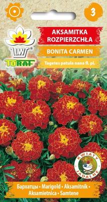 Tagetes διάσπαρτοι σπόροι λουλουδιών Bonita Carmen 1g για τον κήπο