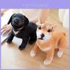 Adorável Brinquedo de Pelúcia de Cachorro com Design de Manchas Akita e Husky Boneca Macia Presente Para Crianças