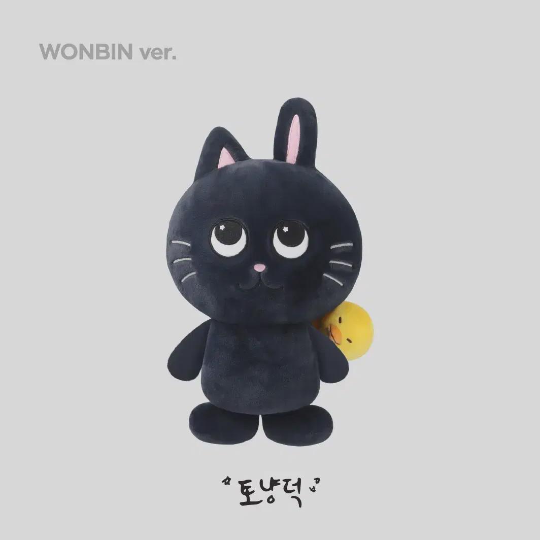 

Riize Wonbin Tonyangdeok 40 Cm Doll, Sealed, Brand New