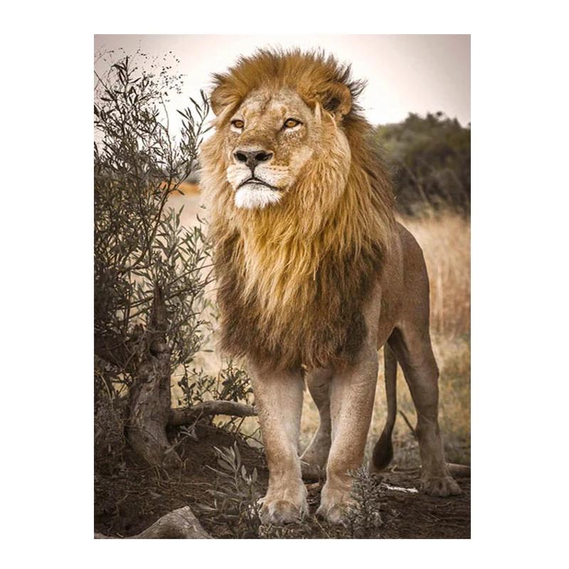 

Лот Стиль Выберите Африканские Дикие Львы Семья Животные Принт Искусство Холст Постер Для Украшения Гостиной Домашняя Настенная Картина 8X12inch 20x30cm