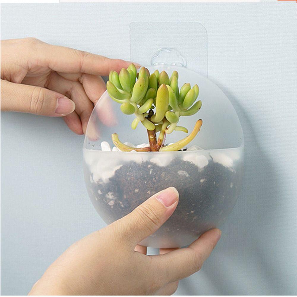 Wall Crafts Flower ArrangementVase Hydroponic Vase Levitating Plant Vase Plant Container Flower Pot