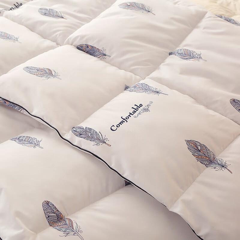 Plover White Duck Down Quilt