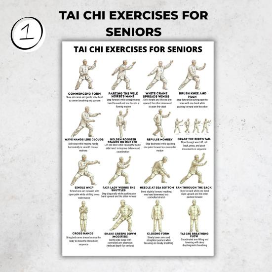 3er Set Tai Chi Übungsanleitung Poster für Senioren Anfänger Tai Chi Trainingsplan für Ältere Gelenkschonend Gleichgewicht Mobilität Heimtraining