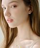 Reve Rv-Lab Diamond 0.5 Carat Phal. Love Earrings