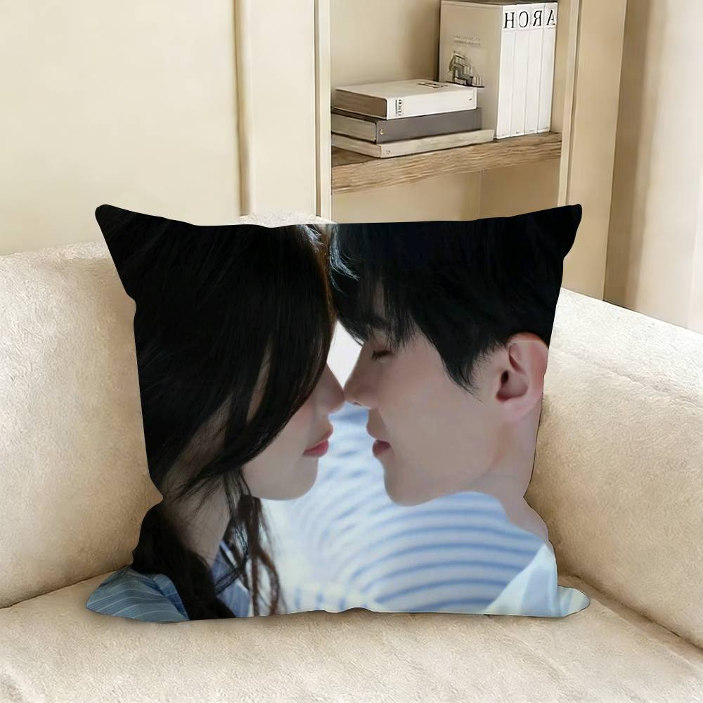 

Speed and Love Jin Zhao Jiang Mu Esther He Yu Pillow Case Living Room Sofa Cushion Cover Suitable For Home Room Decoration 30x30cm