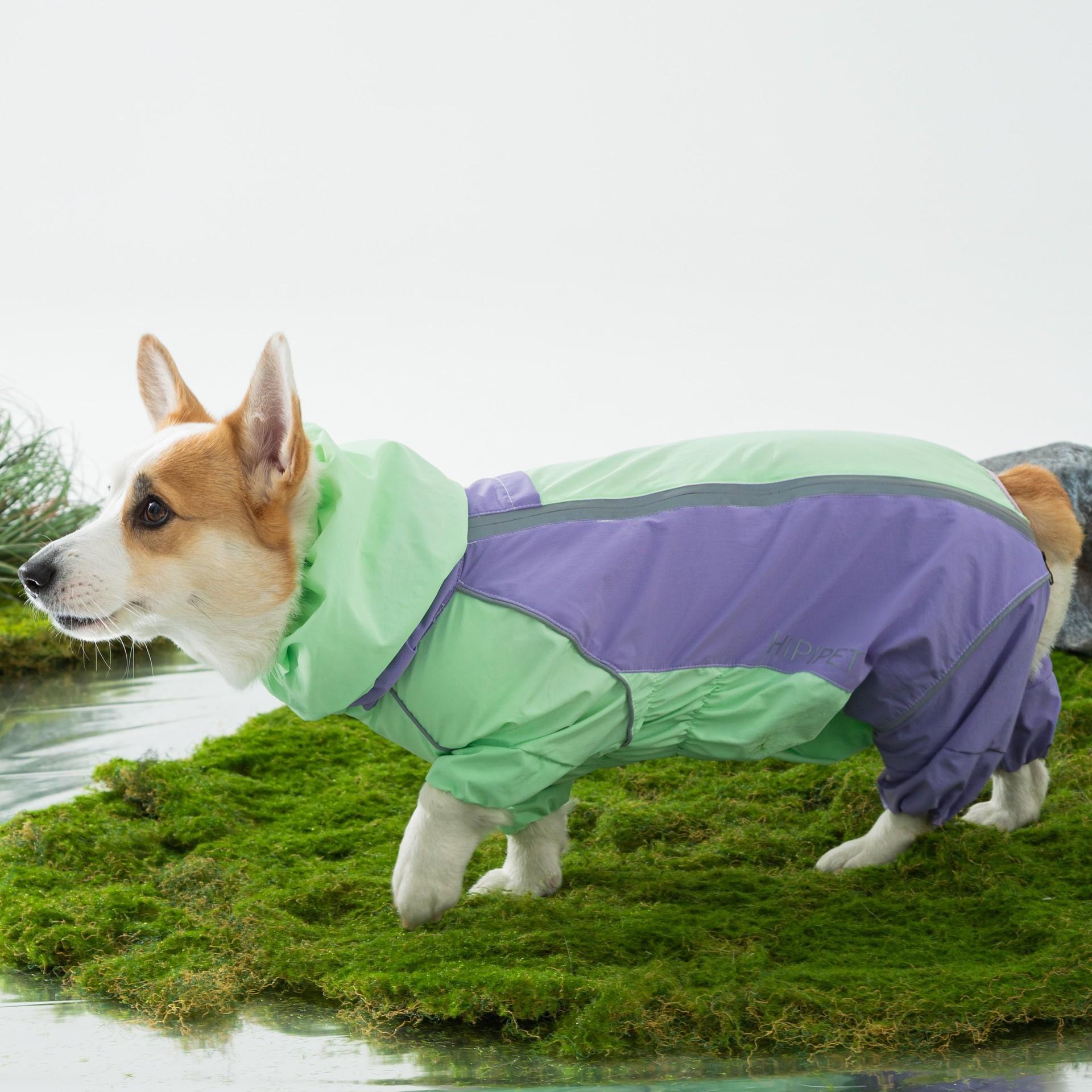 

New pet dog dog corgi raincoat, small and medium-sized dogs can wear it in all seasons, waterproof, rainproof and moisture-proof clothes when going XXL (recommended weight 30-19 kg)