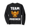 Humor Phoenix Animals Simple Fire Bird Team Phoenix Sweatshirt