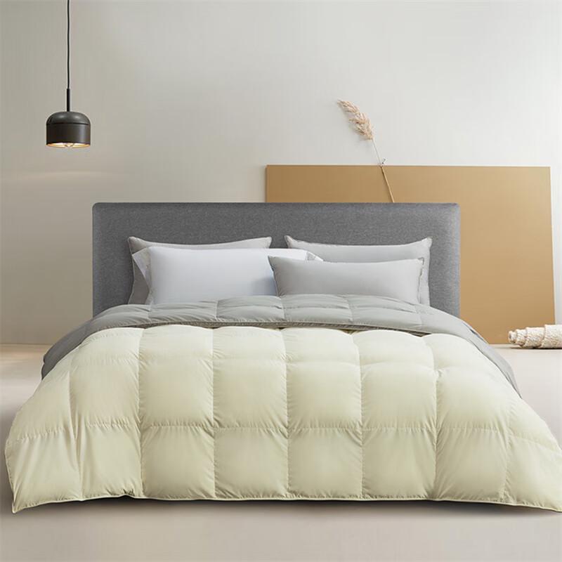 

Mercury Home Textiles First Snow Goose Down Quilt