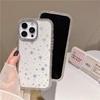 Double-Sided Gradient Star Diamond Phone Case for iPhone 16/17 Pro Max