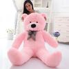 1.6M Panda Big Bear Plush Toy - Perfect Birthday Gift for Girls