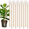 Plant Growth Tent Stand6-12pcs 12Inch Long Copper Support Post Home Gardening Planting Fixing Tool