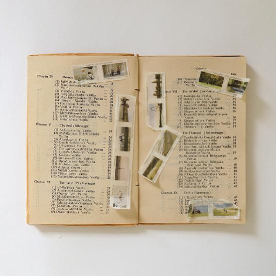 Biscuit Studio Film Abdeckband (6typ), eine beliebte Redewendung in Korea