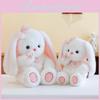 Toy Plush Bunny Cute Cartoon Butterfly Girl Children Birthday Holiday Doll Gift