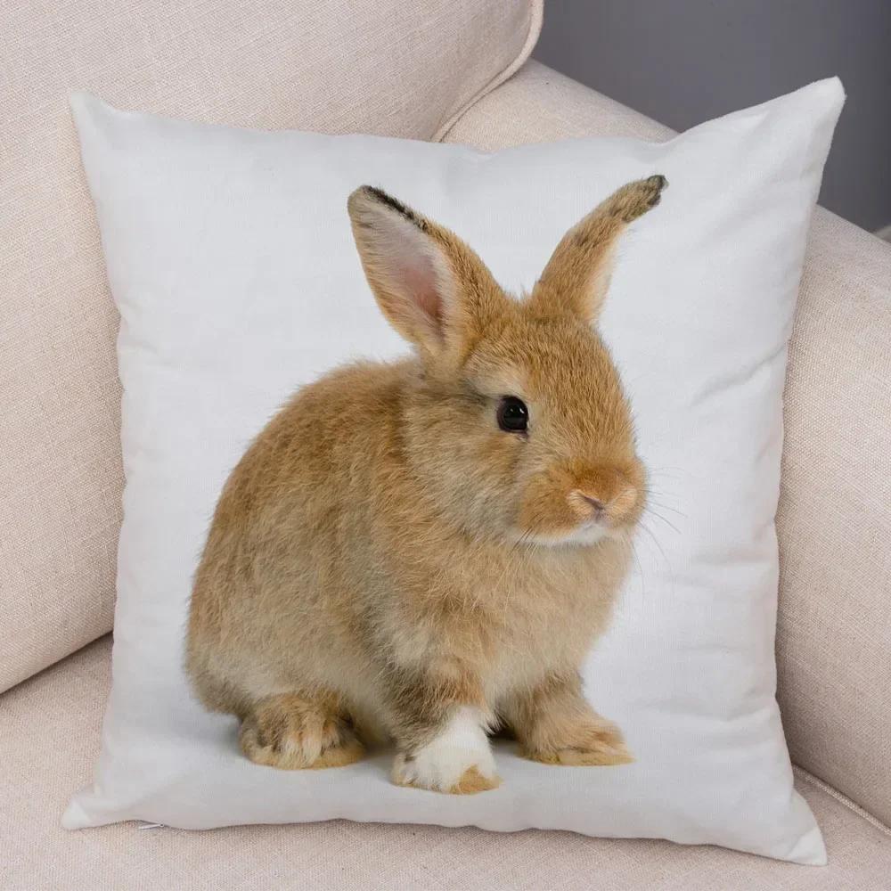 Home Sofa Kids Room Decor Cute Pet Animal Print Cushion Cover Pillowcase  Rabbit