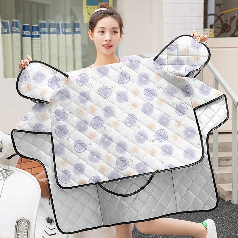 Lishi Electric Vehicle Sunshade & Windproof Cover Universal