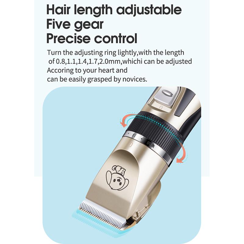 Easy and economical dog grooming at home, save time and money by doing it yourself.