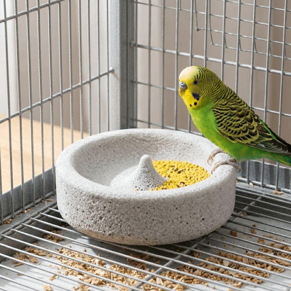 Anti-Knoei Papegaai Poot Slijpkom Ronde Huisdier Waterbak Cavia Voedselbak Decoratief