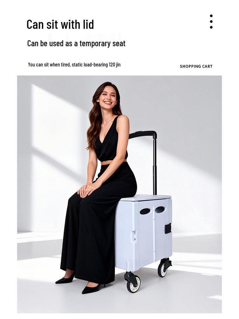 Aluminum Alloy Folding Lightweight Shopping Cart Trolley