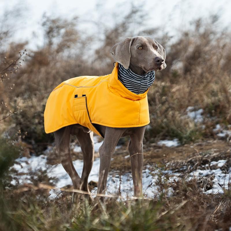 Waterproof Hooded Dog Winter Coat With Cotton Padding Warm Pet Jacket Small To Large Breeds