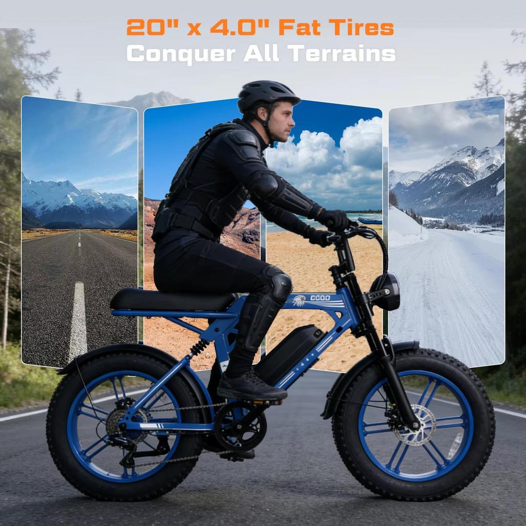 HiQiS Electric Bicycle C200 48V 17.5AH Battery Maximum Range 90KM 1000W Motor 25km/h Speed 20 Inch Fat Tire All Terrain Electric Bicycle