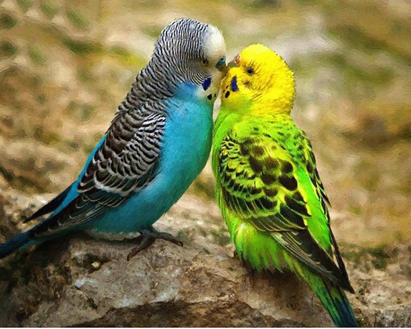 

Алмазная вышивка Сова картина со стразами алмазная живопись животное птица полная квадратная дрель Алмазная мозаика украшение дома Full Round 30X40CM слоновая кость