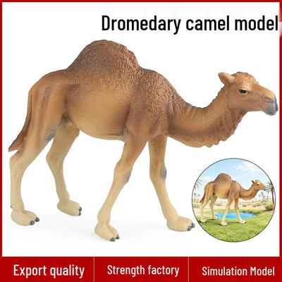 Collezionismo e modellismo – Modellini e action figure
