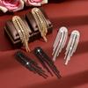 Eco-friendly Crystal Zirconia Tassel Earrings for Women – Light Luxury, High-End Evening Wear Accessory