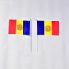 Andora 10 sztuk flag do machania 14*21 cm