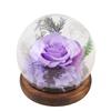 Eternal   Glass Cover Wooden Base For  Flower Decor for Anniversay Birthday Gift