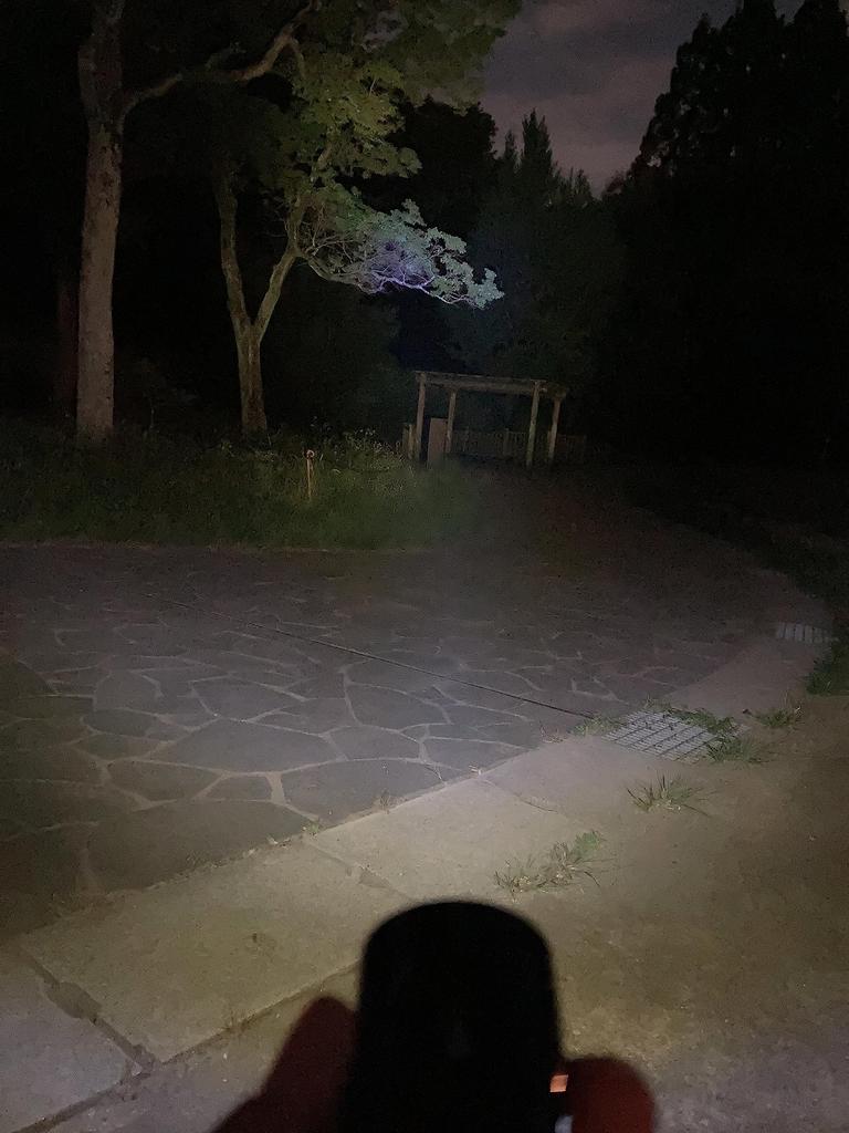 LYNX TOURING Rechargeable LED Headlight for Bicycles and Road 80 USB High-Power Bikes, Lumens, Compatible, Type-B, Waterproof, Auto-Dimming, 4-Level