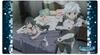 Clockworks Universal Mat Collection Vol.75 Is It Wrong To Try To Pick Up Girls In a Dungeon? III A