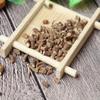 100 GR Dried Herbs Bupleurum Chai Hu Bupleuri Radix