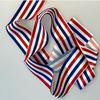 Colorful Dance Stripe Ribbon 1/2meters Rhythmic Art Gymnastics Ballet New Stick Training