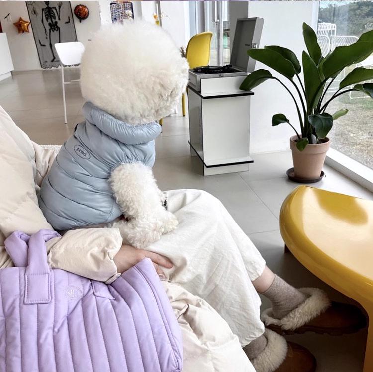 Morandi Color Minimalist Warm Pet Vest for Small Dogs & Cats - Autumn/Winter Teddy Bichon Clothes