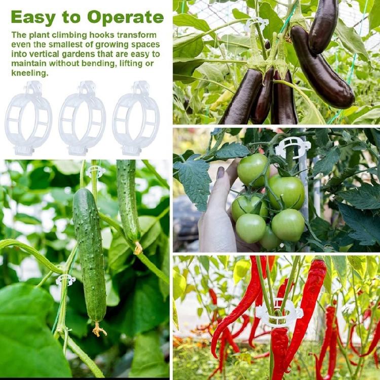 100pcs Climbing Plant Vertical Growth Support Clip Growing Assistance Holder For Tomato Plant And Vegetable Stems