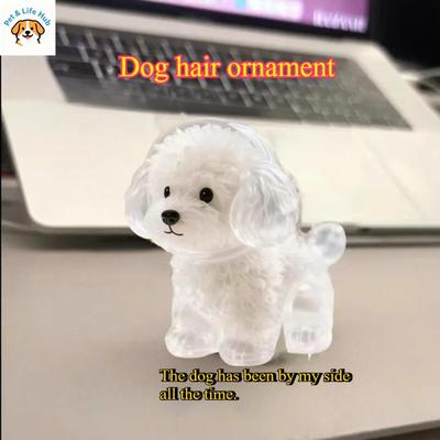 Transparent Dog Hair Storage Box Pendant Cat Hair Storage Capsule Commemorative Collection Keychain Bag Pendant Pet Supplies