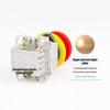 Kailan LAY3-11ZS Self-locking Push Button Switch