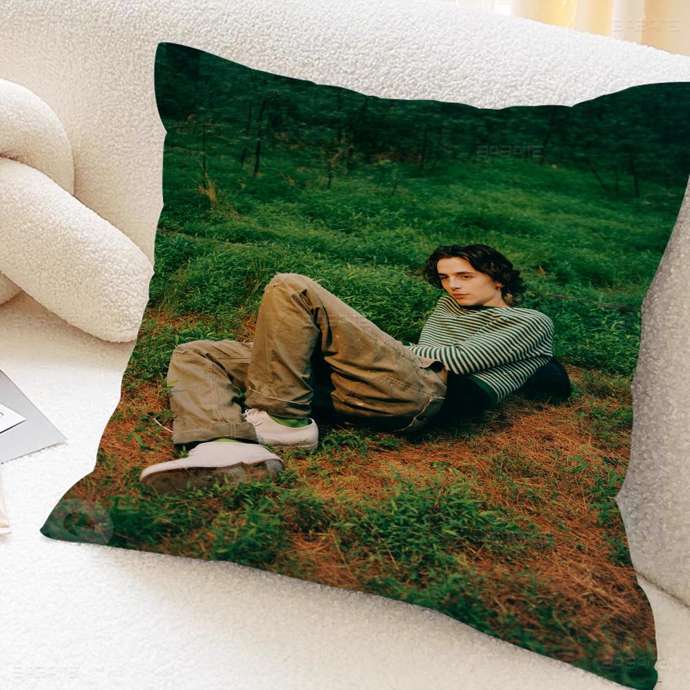 T-timothee C-chalamet Cushion Cover Pillowcase Upholstery Sofa Throw Pillow Home Decor Pillowcas