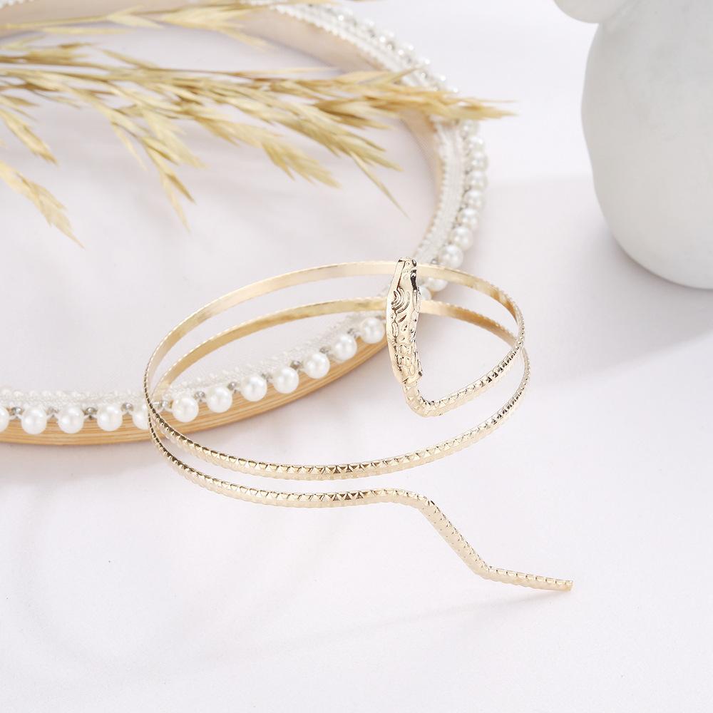 Punk Style Exaggerated Snake Bracelet, Personalized Popular Alloy Snake Element Bracelet