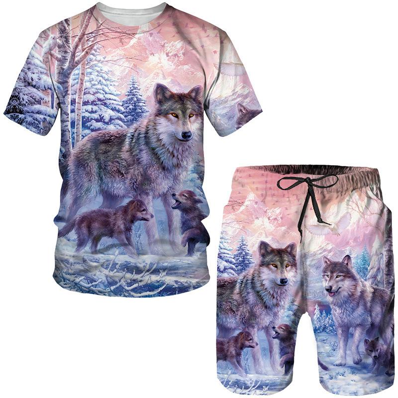Summer Round Neck 3D Wolf Printed Set Fashionable and Casual Short Sleeved Shorts Children's Boy Clothing Sets