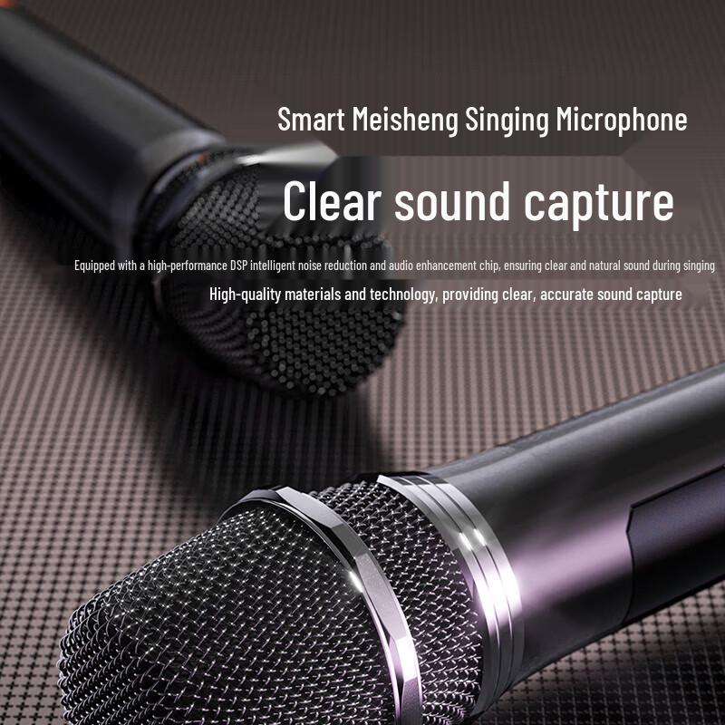 Newsmy K222 Portable Bluetooth Karaoke Speaker CN Plug (adapter Included)
