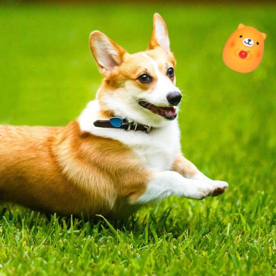 Squeaky Animal Dog Toy Latex Chick Pig Frog Bear Dog Chew Toy Teeth Cleaning Toy for Small Medium Dogs Fetch Training