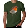 Robin T-Shirt Sommeroberteile Tierdruck für Jungen Herren-T-Shirt